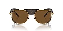 Persol Mens PO113SZ Polarized Rectangular Sunglasses, Gold, 53 mm