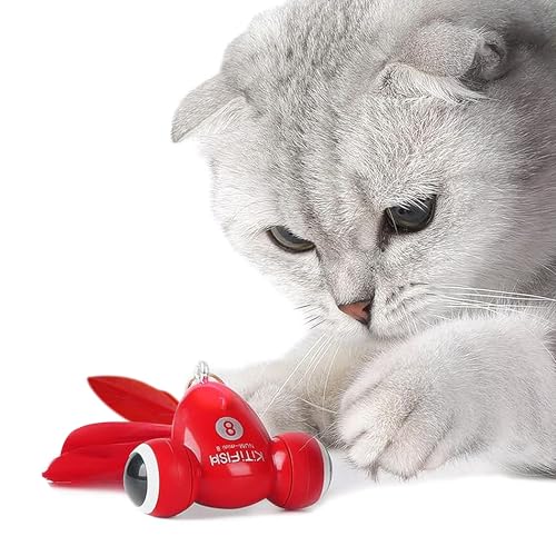 Gworld yZڂ̋Em bt ďCz L  - C^NeBu ˂炵 & XbvtBbVA tAUSB[dAtFU[ & \AL {[^Cv lV & NێplC _ȓ QZ