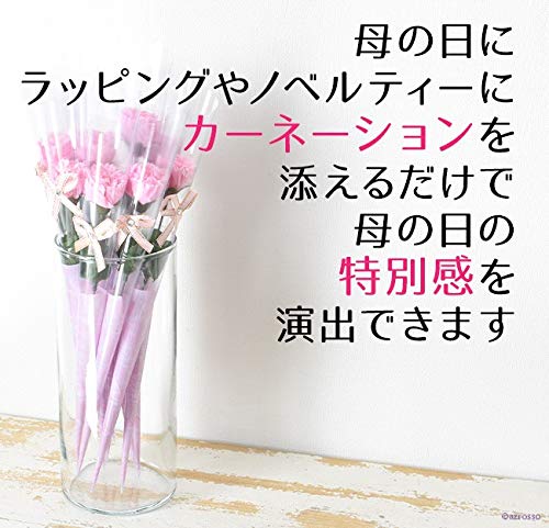 Amazon｜カーネーション 造花 10本セット (個包装) 母の日 ギフト 花束 