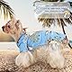 Hawaii Hunde Shirts für Kleine,Sommer Hundeshirts,Pet Poloshirt T-Shirt,Hunde Shirt für Kleine Dog,Hundeshirt Bedruckte T-Shirts Schnell Trocknende Atmungsaktive für Small Dog Katzen (Himmelblau,XL)