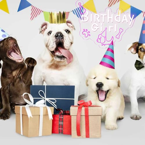 Image of Girl Dog Birthday Neon Sign Birthday Decorations Pet Puppy Birthday Party Gifts for dog lovers-14.5 x 12.2 Inches-USB Powered-Acrylic