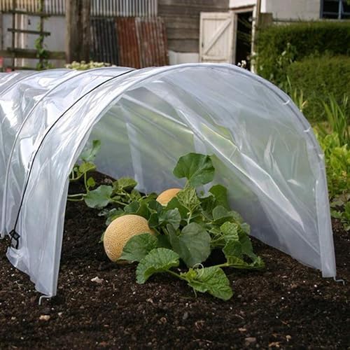 2 x 10m Polyethylenfolie Transparent Gewächshausfolie (Extra Dick) Staubschutzfolie Reißfest Gartenfolie aus Polyethylen für Gartenarbeit Treibhaus Folientunnel Tunnelfolie Tomatenhaus Folie