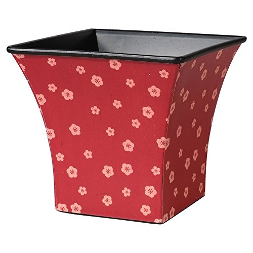 GREENHOUSE }t fUCv|bg p ԏ~ NY049-A