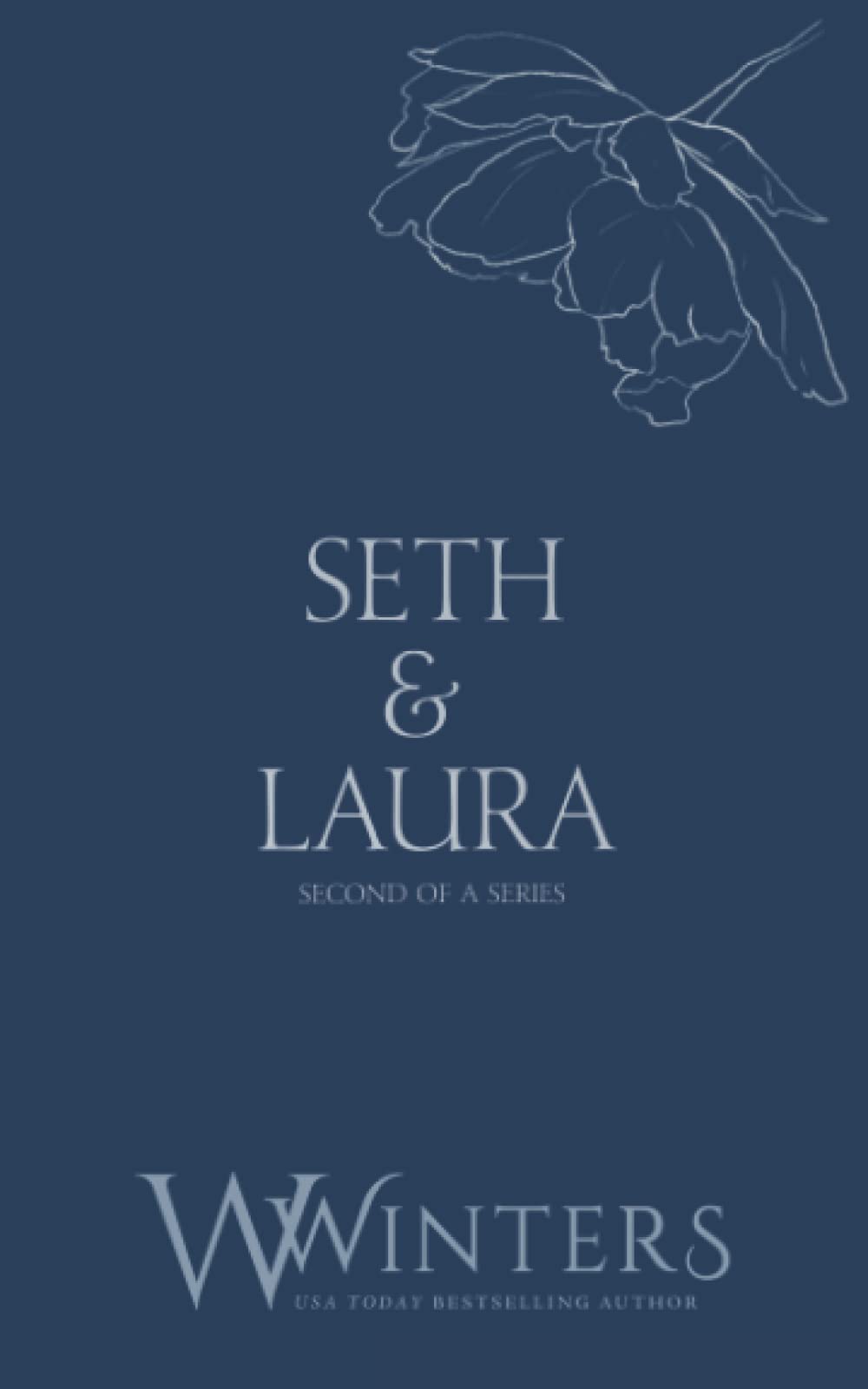 Seth & Laura: Desperate to Touch (Discreet Series)