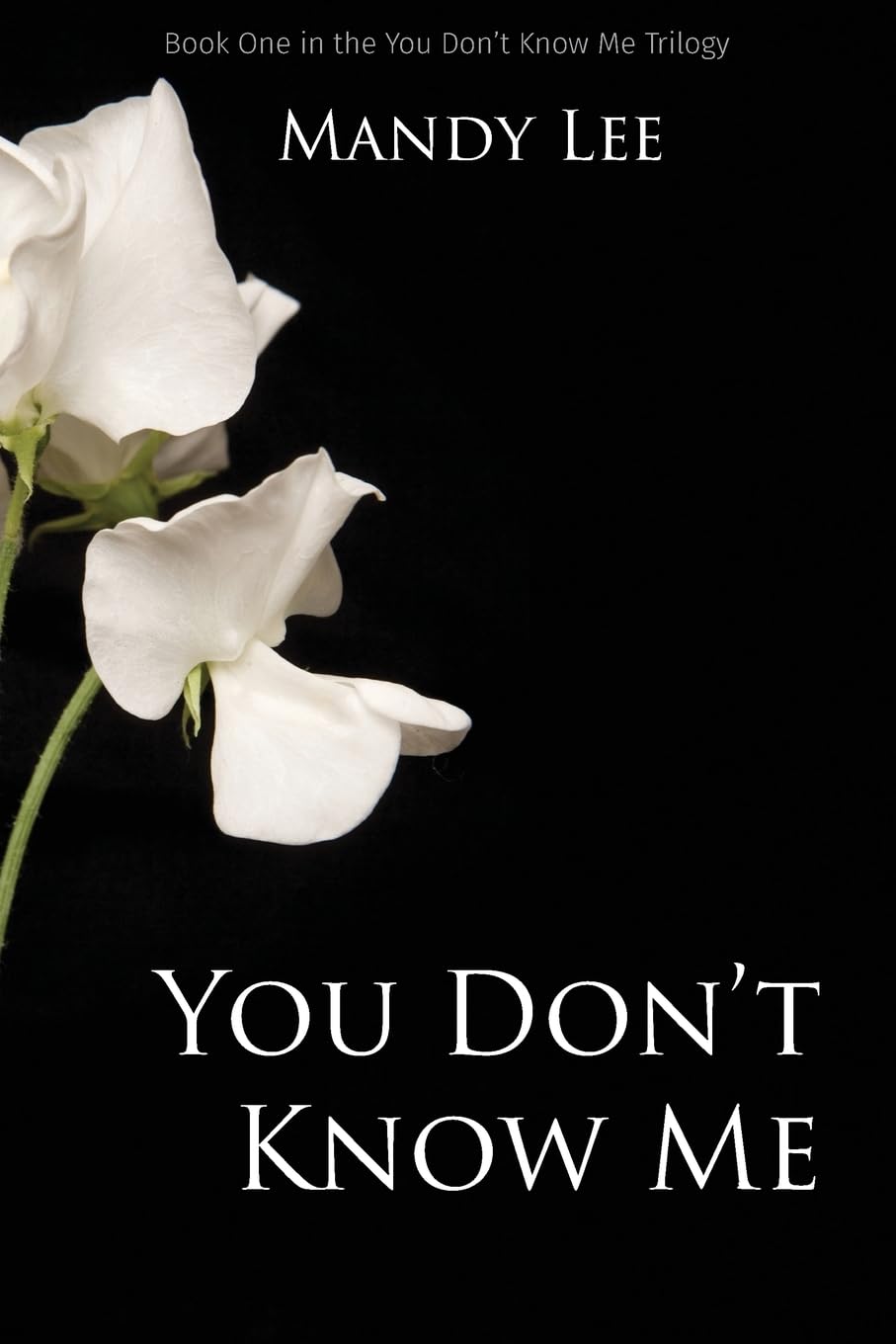 You Don't Know Me: Volume 1 (The You Don't Know Me Trilogy)