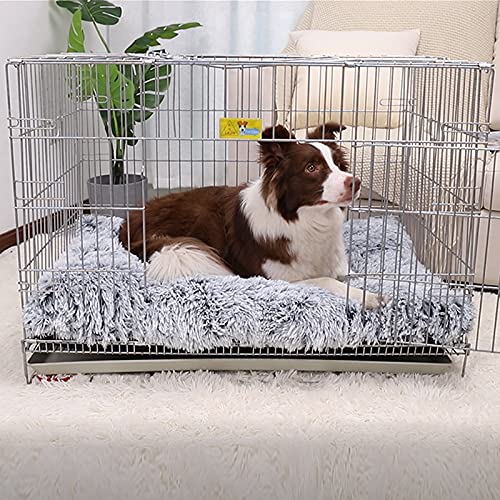 dog bed for kennel