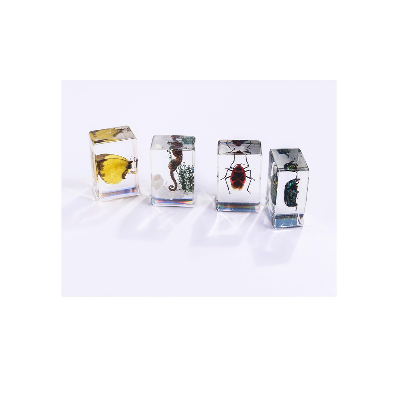 Vokowin Insect in Resin Specimen, Real Bug Preserved for Scientific Educational, Office Desk, Christmas Display (6 Styles) - Image 3