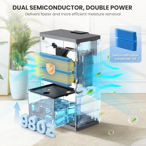 Dehumidifier with Humidity Display