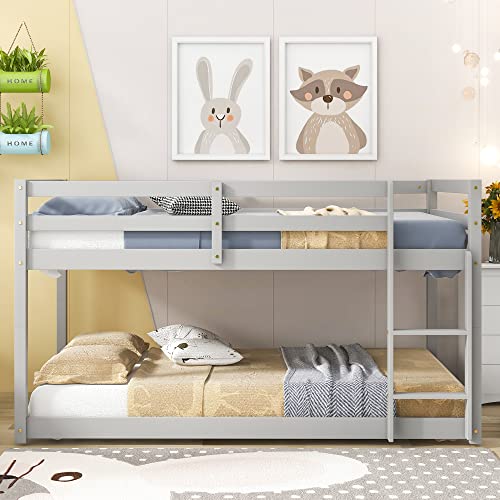 Find The Best Low Profile Bunk Beds Reviews & Comparison Katynel