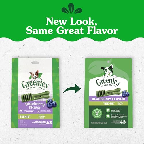 Greenies Dog Treats Veterinarian-Recommended Natural Dental Treats for Dogs, Teenie Size, Blueberry Flavor, 12 oz. Packs, 43 Count