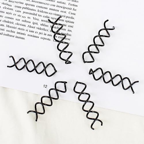 REQAG 16 Pezzi Fermagli per Capelli Spirale