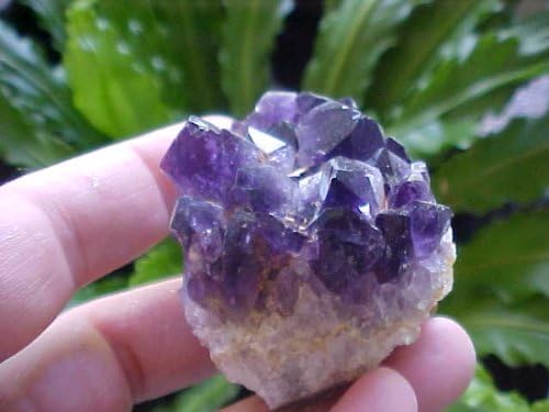 A5409 Gemqz Amethyst Crystal Cluster Miniature Nice !!!