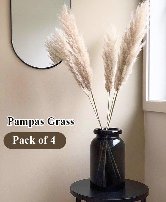 XTORE Dried 4 Pcs Pampas Grass for Home Decoration (Pack of 4 Sticks, Off-White)