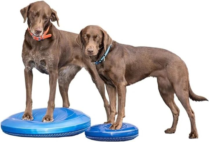 Amazon.co.jp: [オールフォーワンズライフ］犬用 アジリティグッズ