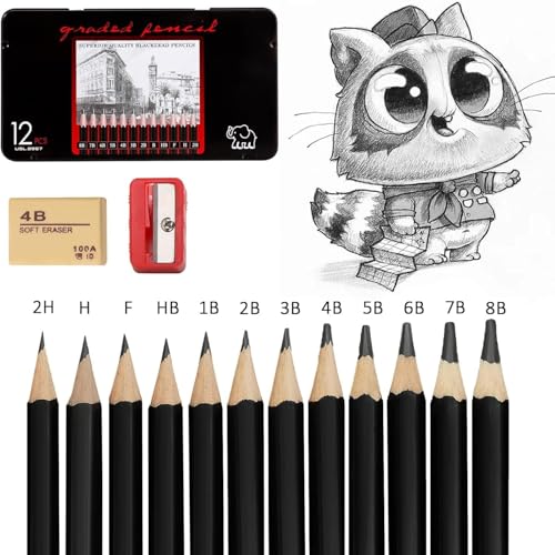 Image of PAXCOO Set of 12 Pcs Professional Drawing Sketching Pencil Drawing Art Pencils Graphite Shading Pencils for Beginners & Pro Artists Professional Sketch,Suitable for Art Design, Shading, Adults & Kid