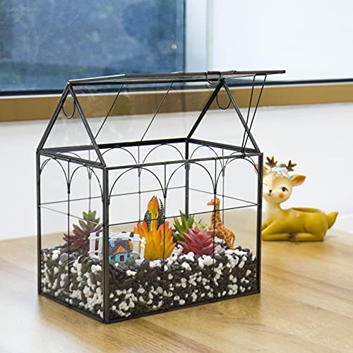 Large Tall Plant Terrarium Glass – Glass Greenhouse Terrarium With Lid, 8.7"X5.9"X10.6" Inches Indoor Tabletop Orchid Succulent Cacti Terrarium Kit Na (House Black A) #TOP1