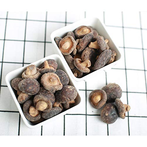 Mushgarden Shiitake Mushroom Chips, Crispy & Crunch, All Natural, Non Gmo, Vegan, No Artificial Flavors, No Preservatives, No Trans Fat, Seasoned, Superfood Snack, Low Calorie Snack (Sea Salt, 6.35) #TOP2