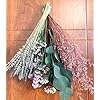Amazon.com: DongArts Natural Dried Flower Rack, Dried Flower Wall ...