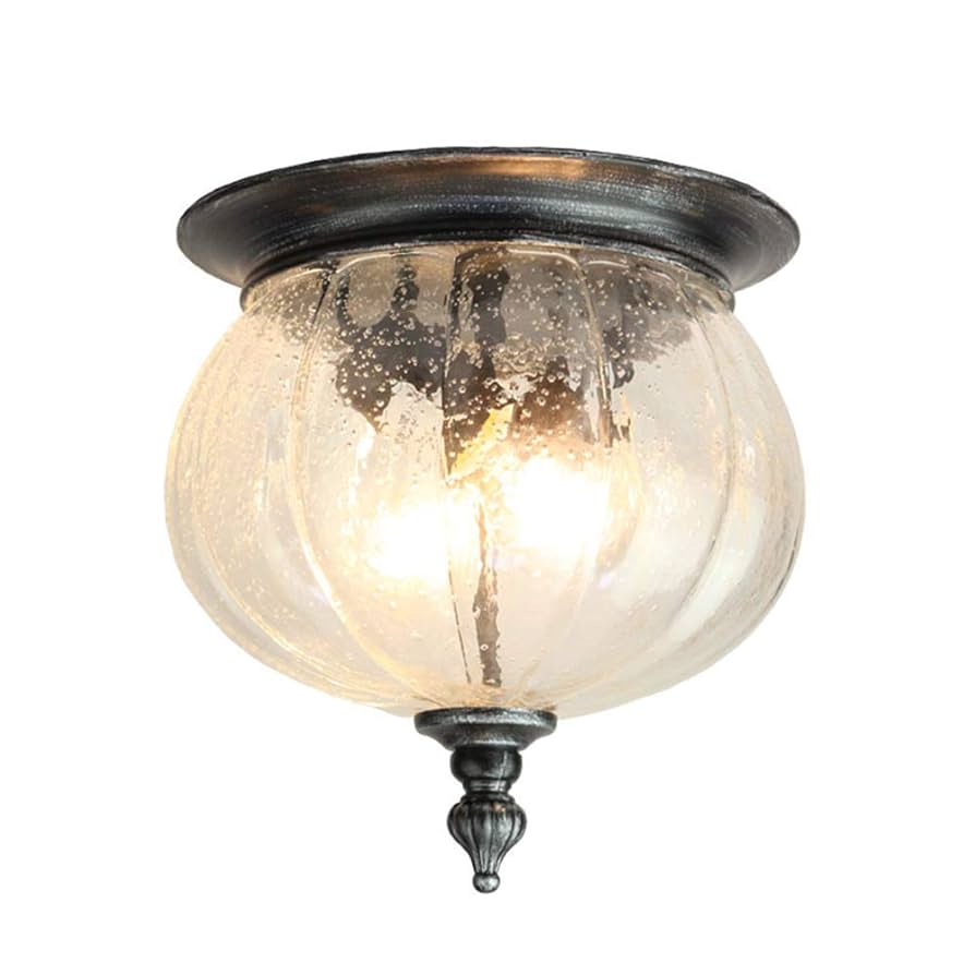 Amazon.co.jp: ZLHW レトロ E27 屋外 天井 ライト ブラック