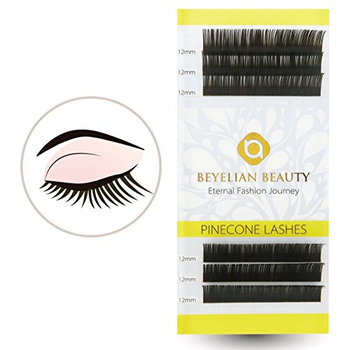 BEYELIAN Eyelash Extensions Dark Brown Lashes 0.15mm Thickness 12mm Eyelash Extensions Professional Lash Extensions 6-rows