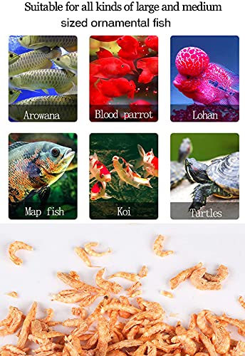 Aquarium Tropical Fish Food Shrimp Dried Pond Fish Food Shrimp Dried Frozen Krill Carnivores Turtle Flowerhorn Cichlid Koi Zebrafish Arowana Blood Parrot Fish Feed (8.46 Oz) #TOP5