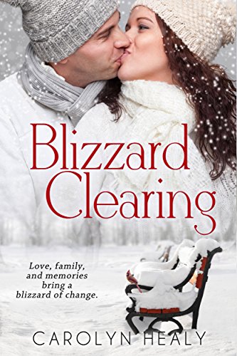 Blizzard Clearing view 2