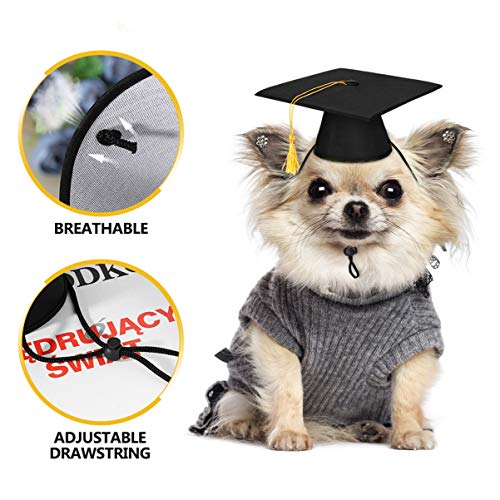 Gorro de graduación para perros doctor ajustable miniatura 4