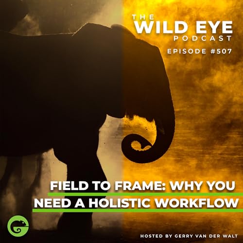 #507 - Field to Frame: Why you need a holistic workflow Podcast Por  arte de portada