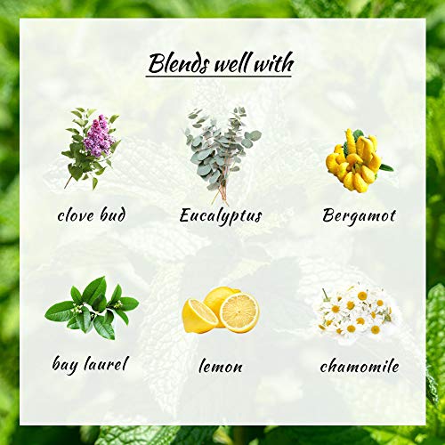 2Pcs Lemon + Peppermint Essential Oil Sets Essential Oils Set 10Ml - 100% Pure Essential Oils Set For Aromatherapy Kit #TOP6