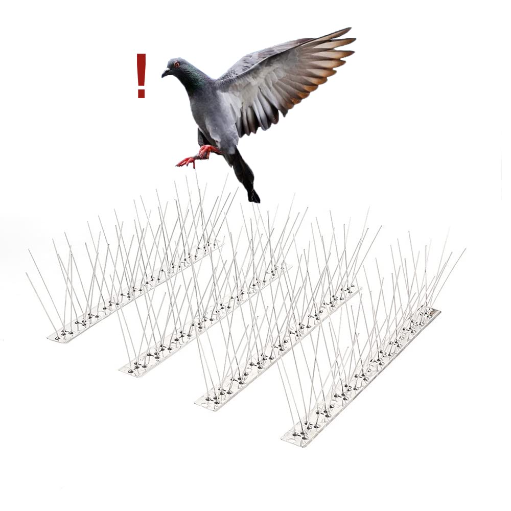 鉄の鳩 Amazon.co.jp: AOKKR 鳥よけ 鳩よけグッズ 100%ステンレスピン