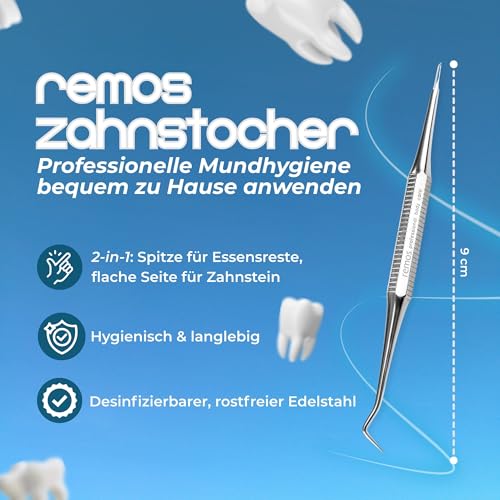REMOS Zahnstocher Profi Zahnputzwerkzeug mit spitzem und flachem Ende aus rostfreiem Edelstahl - 9 cm
