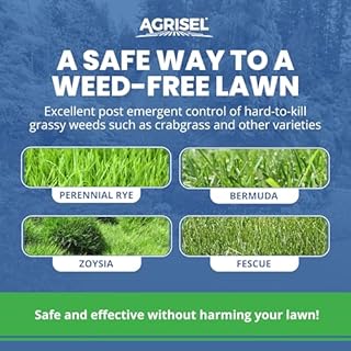 Agrisel QuinKill Max Weed Killer, Post-Emergent, Targets Tough Weeds, Lawn-Friendly, Pet Safe, Includes 3-Pack of Agrisel Protective Gloves, 16 Ounces