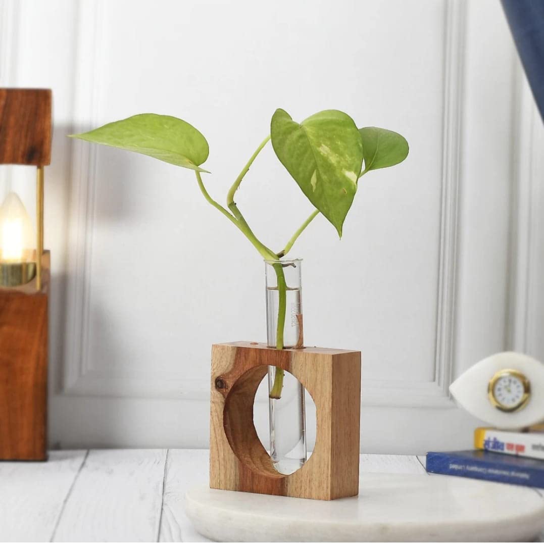 Firebees Glass Test Tube Planter with Wooden Stand for Living Room, Bedroom, Home, Office -Hydroponic Table Planter,Planters for Home Decor | Office Decor | Table Top Plants | Planters for Living Room (B0BG33L5LY) Amazon Price History, Amazon Price Tracker