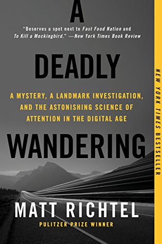 A Deadly Wandering view 2