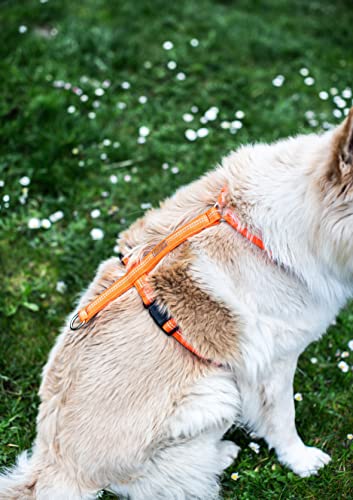 Feltmann Hundegeschirr Mantrailing/Suchgeschirr Basic - Laufgeschirr, Joggergeschirr - Super Soft, Neonorange, reflektierend, Bauchumfang 40-60 cm, 15 mm Bandbreite