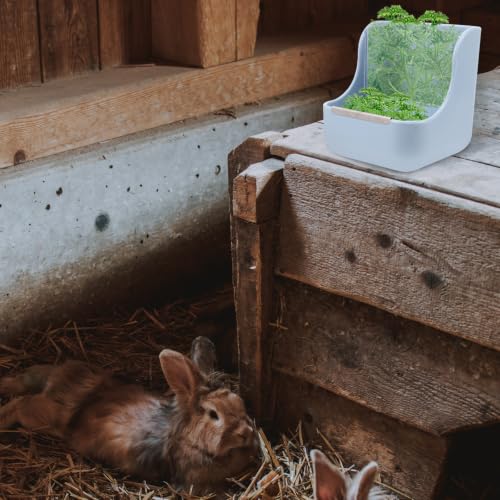 Comedero para conejos y cobayas de plástico con soporte estable 6