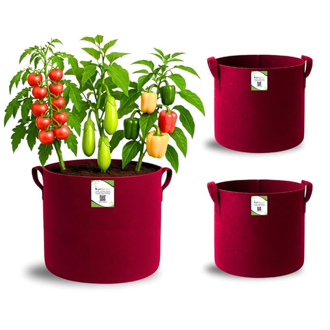 Image of OON Geo Grow Bag for Terrace and Flowers Vegetable Gardening, Premium Geo Fabric 450 GSM Plant Bags, Maroon Color, Eco Friendly Geo Fabric (3, Maroon, 6X6 INCH)