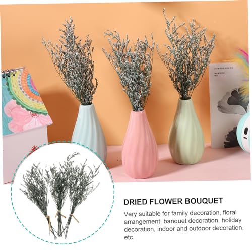 Ramo pequeño de flores secas Gypsophila para decoración miniatura 6