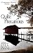 Quite Precarious (A Lowcountry Novella)