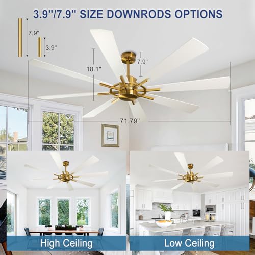 Image of Depuley Ceiling Fan Without Light: Big Indoor Outdoor Fan with Remote APP Control - Large Ceiling Fan no Light 8 Blade Reversible Quiet DC Motor Memory Function Timer 72 Inch White