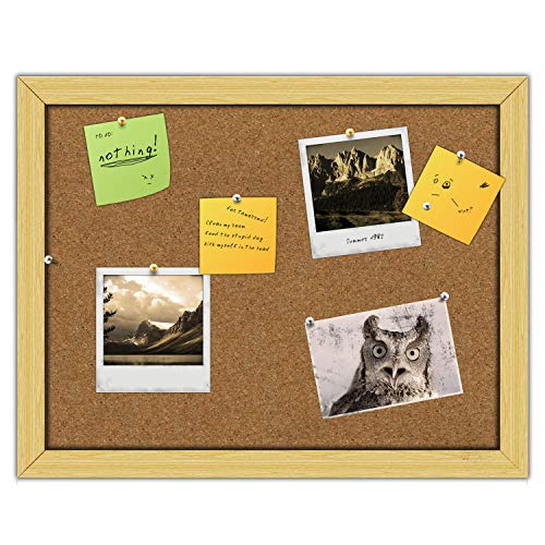 Puntine da Disegno, Foonii Puntine e ganci