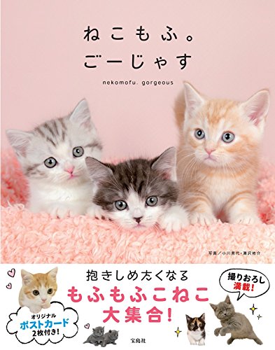 無料電子書籍 アプリ ねこもふ。ごーじゃす【本書限定ポストカード2枚付き】 バイ