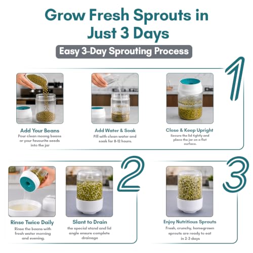 Image of GO STORE Sprout Maker Jar 1100 ml | Seed Sprouting Jar with Mesh Drain Lid & Stand | Sprouts Maker for Moong, Chana, Methi, Lentils, Beans & Seeds