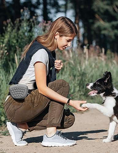 Gobeigo Silikon Hundeleckerli Beutel mit Hunde Trainingsclicker, Magnetischem Verschluss Tasche für Leckerlis, Welpentraining oder Hundespaziergänge, Hüftgürtel Fanny Pack (Grau)