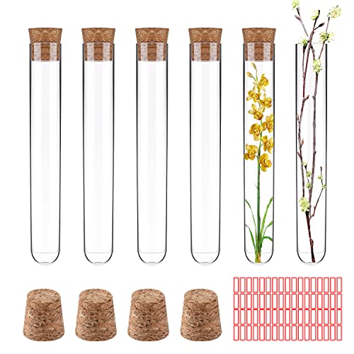 YUE QIN Lot de 24 Tubes à Essai avec Bouchon en Liège ubes à Essais de Laboratoire Tube Essai Plastique de Stockage Trasparente pour Bonbons Epice Plante Echantillon (10ml)