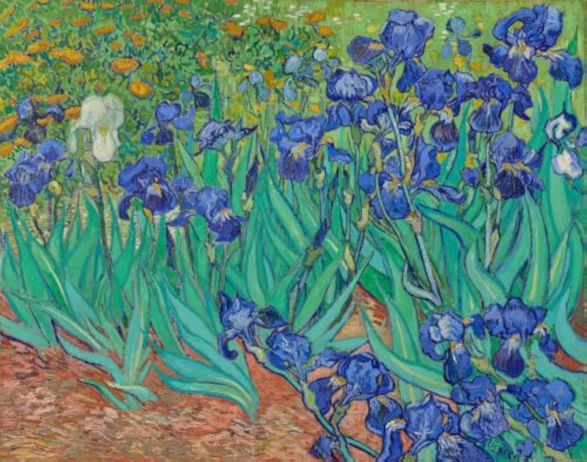 Van Gogh 'Irises' Decorative Wall Plate