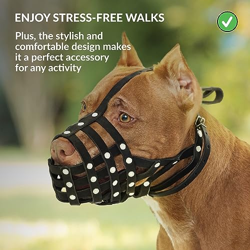 CollarDirect Pitbull Hundemaulkorb Leder Amstaff Maulkörbe Staffordshire Terrier Sicherer Korb (Braun)