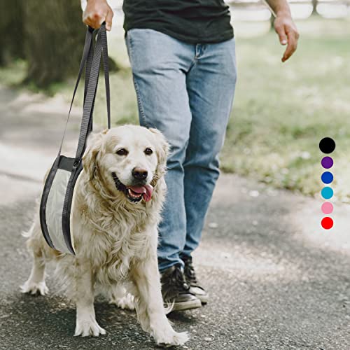 Dyrdekly Hunde Tragehilfe Hinten Lift Support Hundegeschirr Einstellbar Hund Rehabilitation Tragegurt Tragbar Hund Bein Lift für Ältere Behinderte Gelenkverletzungen