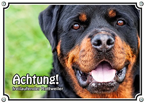 Cartello Attenzione Cane Rottweiler - Segnale Di Avviso Resistente Per Recinzione O Porta - 2