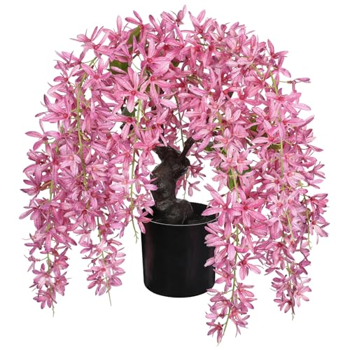 Arborus 35 cm Künstliche Wisteria Kunstblumen Weiß Künstliche Blume im Topf wie Echt Frühling Blumen Deko Unechte Blumen für Zimmer Haus Büro Hotel Restaurant Deko Teetisch Esstisch Schreibtisch Arborus 35 cm Künstliche Wisteria Kunstblumen Weiß Künstliche Blume im Topf wie Echt Frühling Blumen Deko Unechte Blumen für Zimmer Haus Büro Hotel Restaurant Deko Teetisch Esstisch Schreibtisch